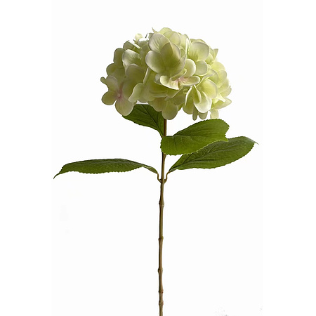 Bild 1 - Kunstblumen Hortensie gr�n
