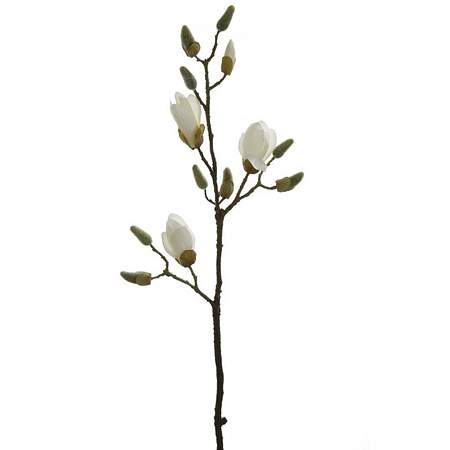 Bild 1 - Fink Living Magnolienzweig