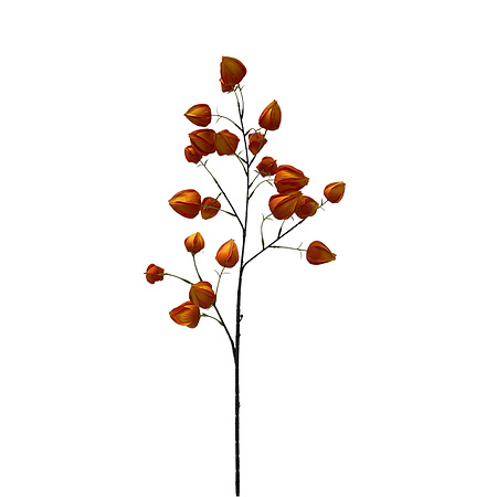 Bild 1 - Kunstblumen Physaliszweig
