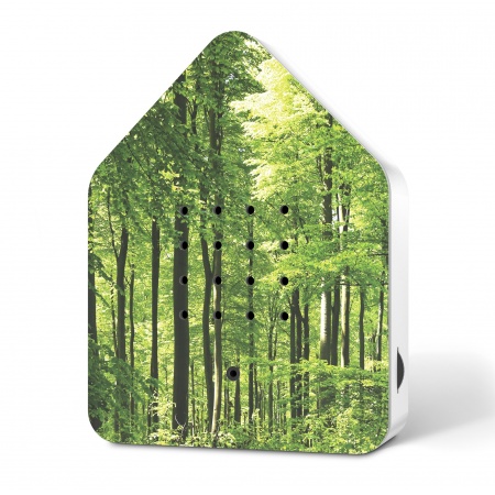 Bild 1 - Zwitscherbox Wald