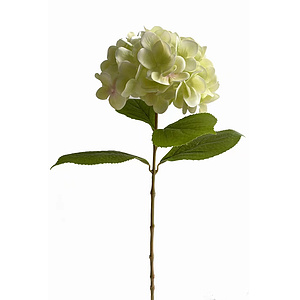 Kunstblumen Hortensie gr�n