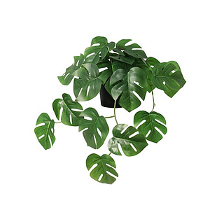 Kunstblumen Monstera getopft